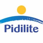 Pidilite